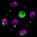 Toggle cell display